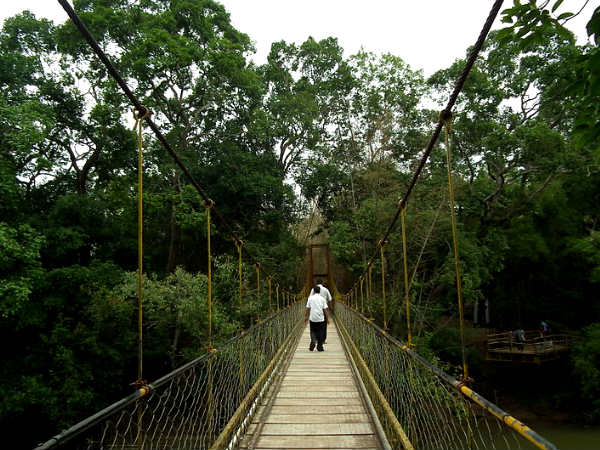 జీవన ఆనందం