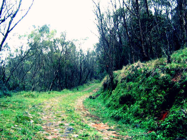  మూడు పదుల వయసు