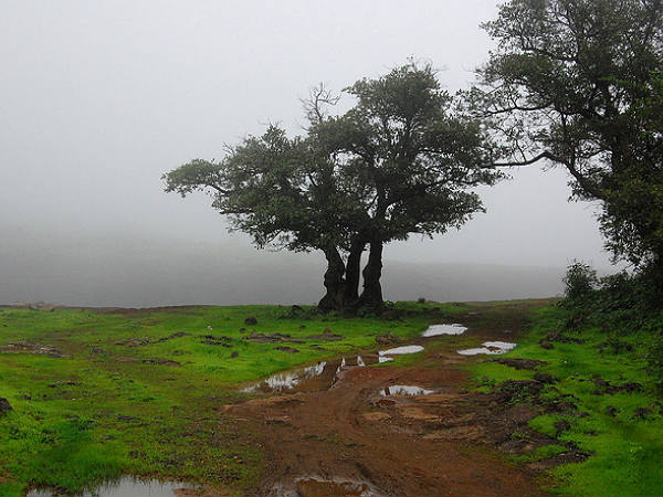లోనావాలా హిల్ స్టేషన్ ఆనందాలు 