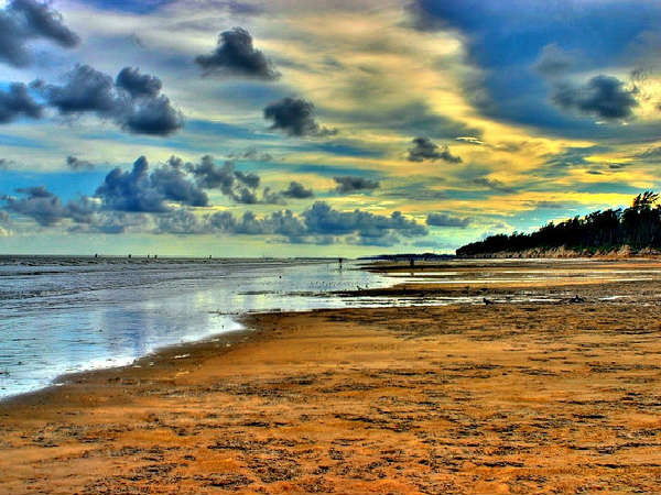 జన సంచారం లేని బీచ్ తీరం 