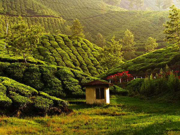 మున్నార్ 