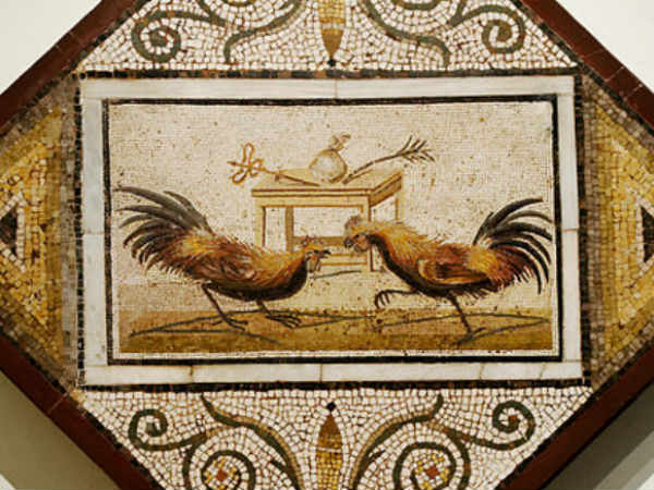 సంక్రాంతి సంబరాలు - ఆంధ్రుల లోగిళ్లు !