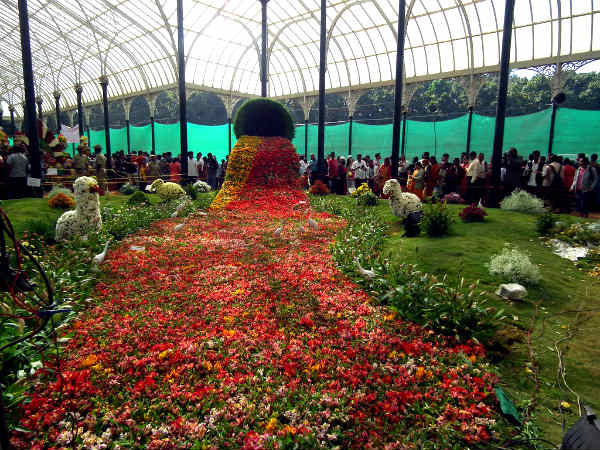 పూవుల ప్రదర్శన