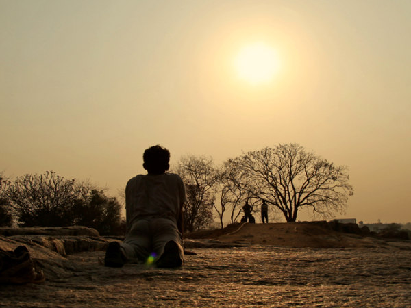  లాల్ బాగ్ విస్తీర్ణం 