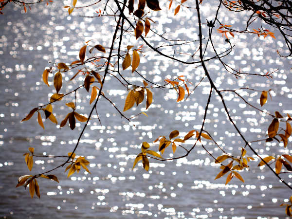 అందమైన ఉదయాలు 