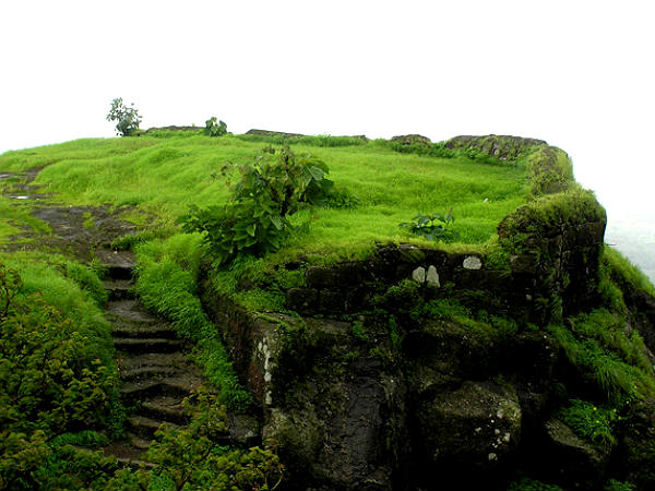 కర్నాల బర్డ్ సాన్క్చురి 