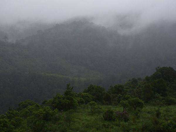 లెహ్ ఆకర్షణలు 