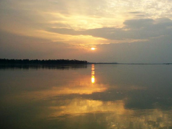 డిబ్రు సైకోవా నేషనల్ పార్క్, అస్సాం 