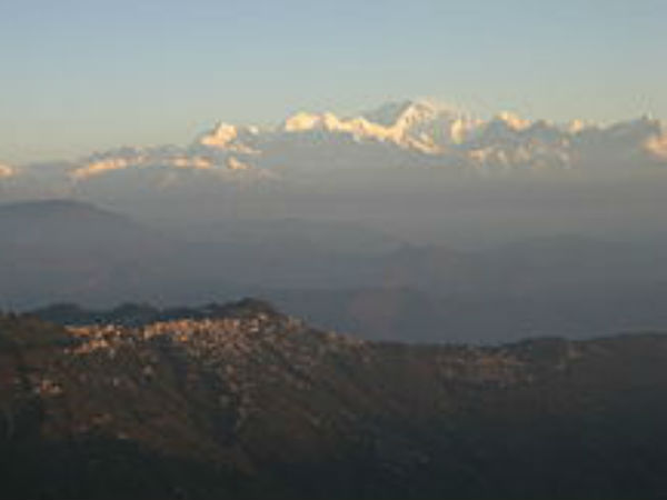  జూలాజికల్ పార్క్ 