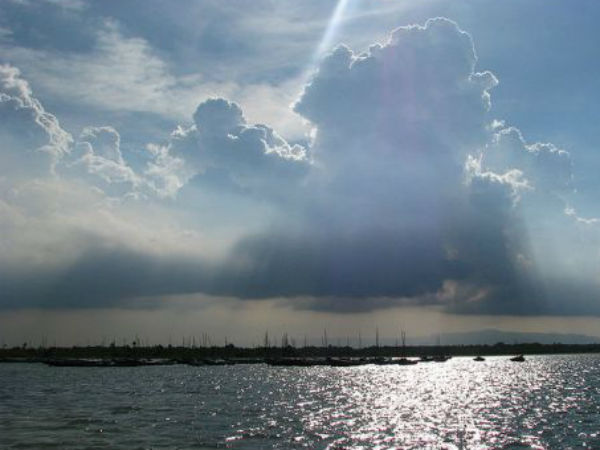 నేలపట్టు బర్డ్ సంక్చురి 