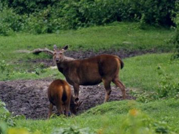  నేషనల్ పార్క్ 