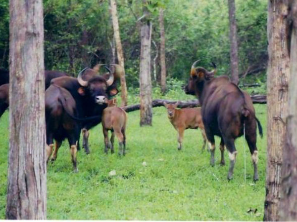  సీతారాముల వనవాసం!