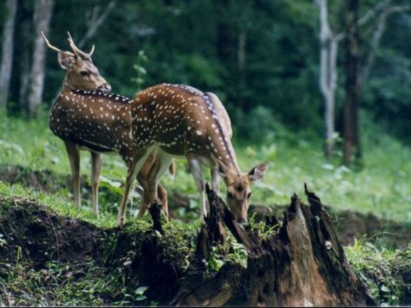 ఎపుడు చూడాలి ?