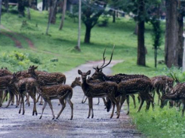 ఎపుడు చూడాలి ?