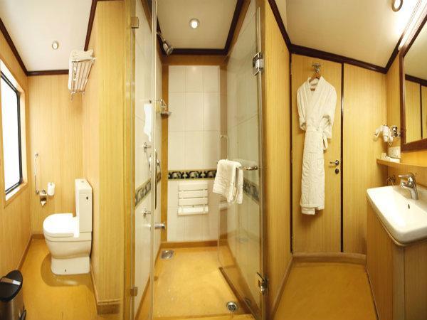  ఇది రైలా ? రాజ భోగాల మహాలా ? 