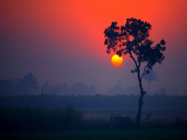 రాన్ అఫ్ కచ్ 