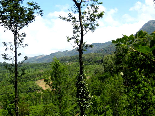  నేల్లియంపతి 