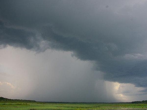 మవసిన రాం క్రౌన్