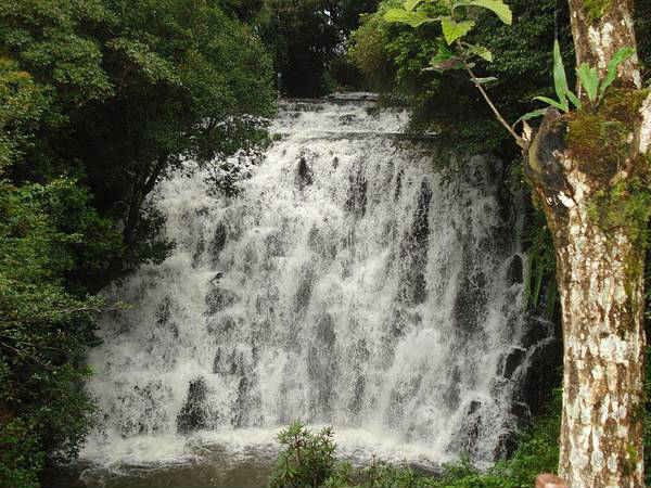 ఎలిఫెంట్ ఫాల్స్