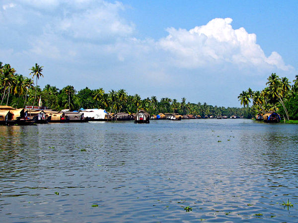 తాజా అనుభూతుల అల్లెప్పి