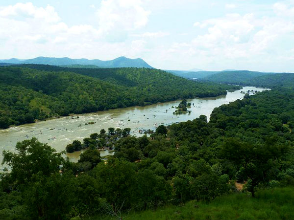 కావేరి వైల్డ్ లైఫ్ సాన్క్చురి 