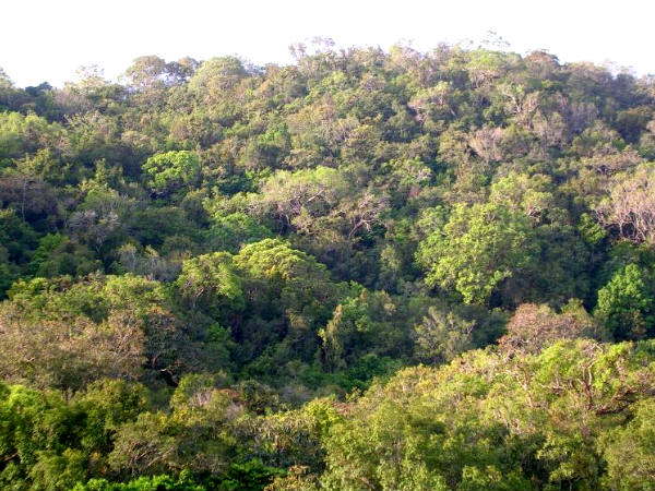 అమ్సి నేషనల్ పార్క్