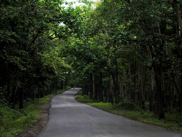 ఆంశి నేషనల్ పార్క్ 