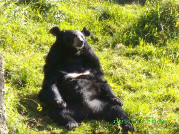 నైనిటాల్ జంతు ప్రదర్శన శాల 