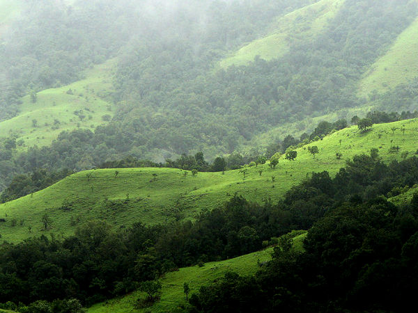 కుద్రేముఖ్ లో ట్రెక్కింగ్ 