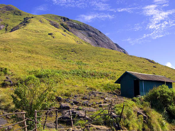  కొత్తగా పెళ్లి అయిందా ? 