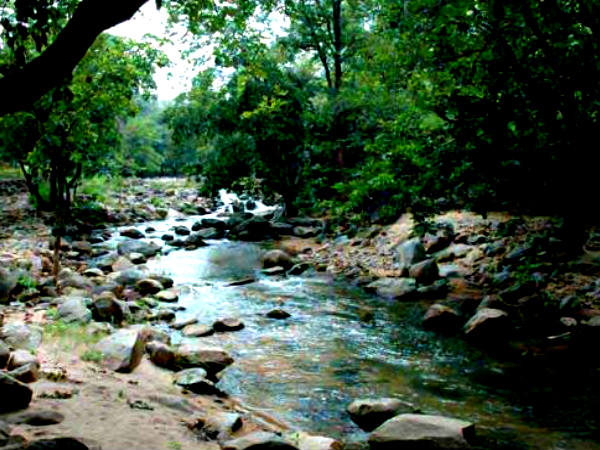  రంగుల దుస్తులు - రుచులూరే ఆహారాలు !