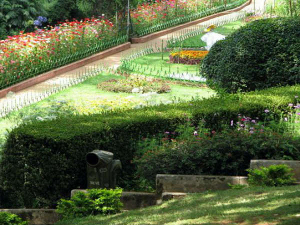 లవ్ ఎట్ ఫస్ట్ సైట్ !