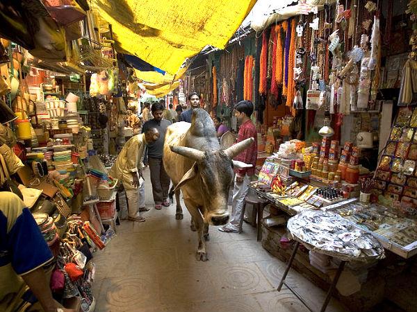 వారణాసి 