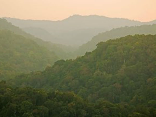  వన్ డే విహారం - విహంగ వీక్షణం!