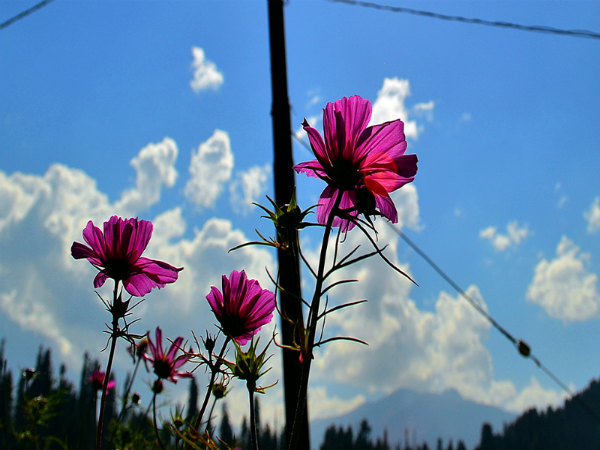 హాయి అంతా ఇక్కడే !!