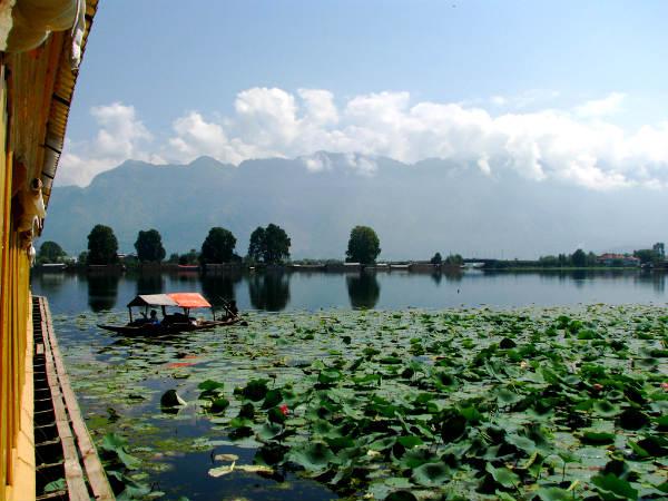 హాయ్...వేసవి అంతా ఇక్కడ హాయి....! 