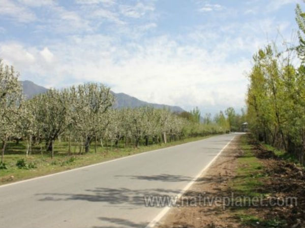 హాయి అంతా ఇక్కడే !!