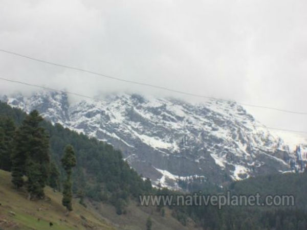 హాయి అంతా ఇక్కడే !!