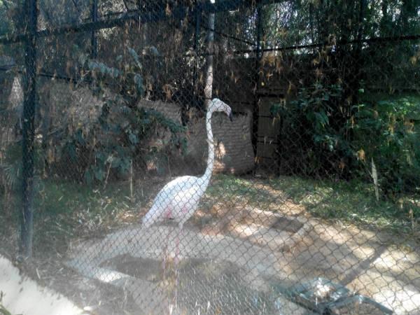 పిల్లల ఆనందాలు - పెద్దల సంతోషాలు!