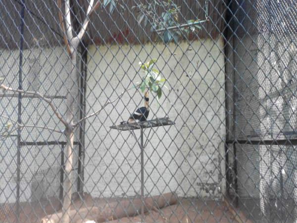 పిల్లల ఆనందాలు - పెద్దల సంతోషాలు!