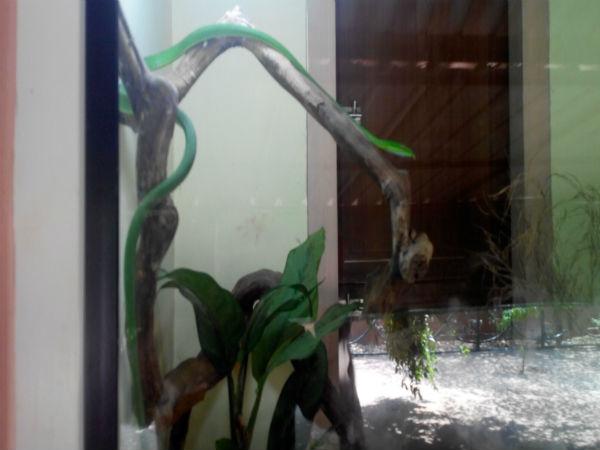 పిల్లల ఆనందాలు - పెద్దల సంతోషాలు!