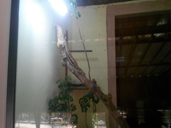 పిల్లల ఆనందాలు - పెద్దల సంతోషాలు!