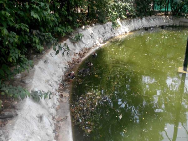 పిల్లల ఆనందాలు - పెద్దల సంతోషాలు!