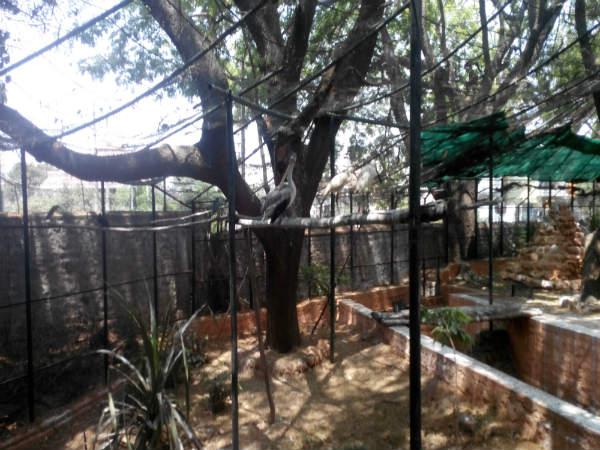 పిల్లల ఆనందాలు - పెద్దల సంతోషాలు!