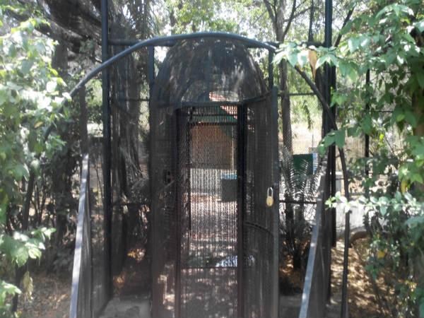 పిల్లల ఆనందాలు - పెద్దల సంతోషాలు!