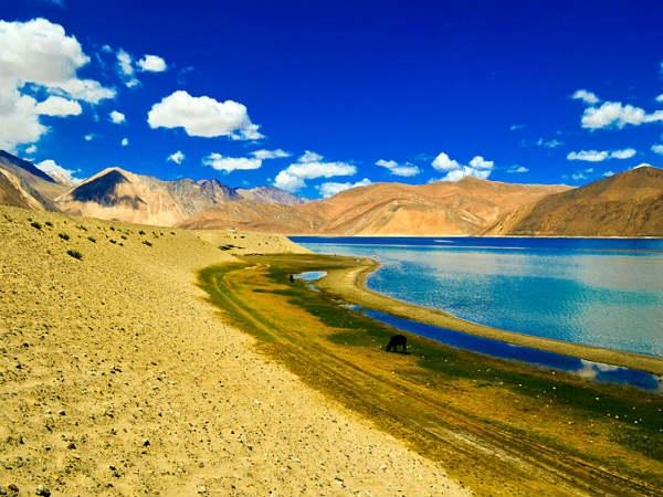  త్రీ ఇడియట్స్ ....ఒక్కసారి చూస్తె !