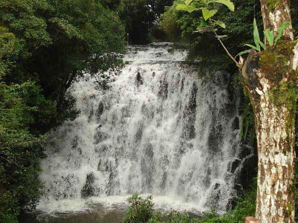  మబ్బుల్లో ప్రయాణం - మనసులో ఆహ్లాదం!!