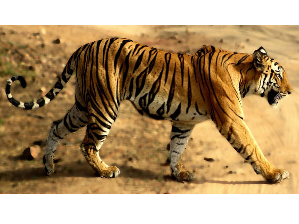 భారత దేశపు హృదయ భాగం