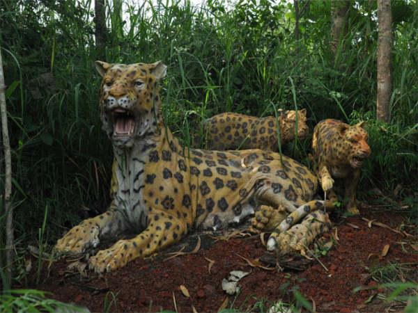 గ్రామీణ జీవన ప్రతిబింబం ...ఉత్సవ్ రాక్ గార్డెన్ !