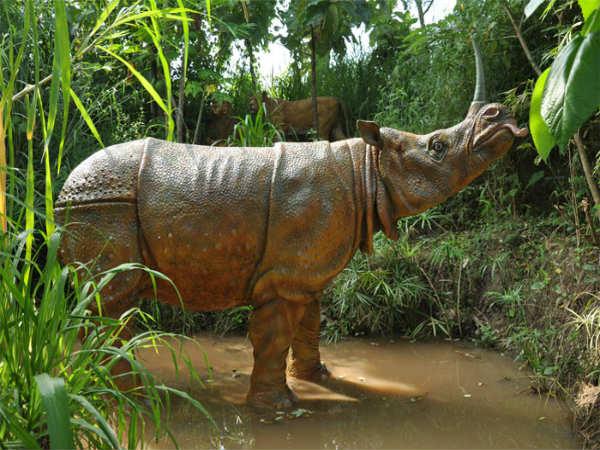 గ్రామీణ జీవన ప్రతిబింబం ...ఉత్సవ్ రాక్ గార్డెన్ !